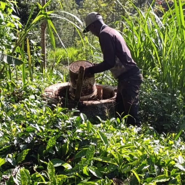 Fetching Water from a well
