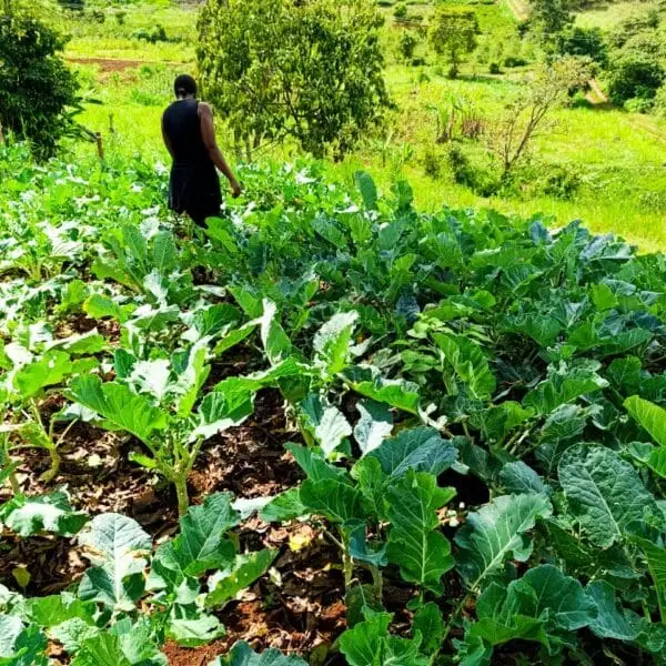 WhatsApp Image 2024 11 18 at 9 54 43 AM (4)